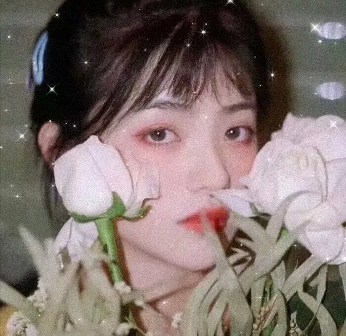女驸马